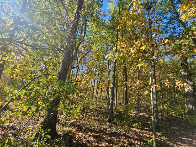 0 Mud Creek Road, Oak Harbor, 43449, ,Land,For Sale,Mud Creek,20260021