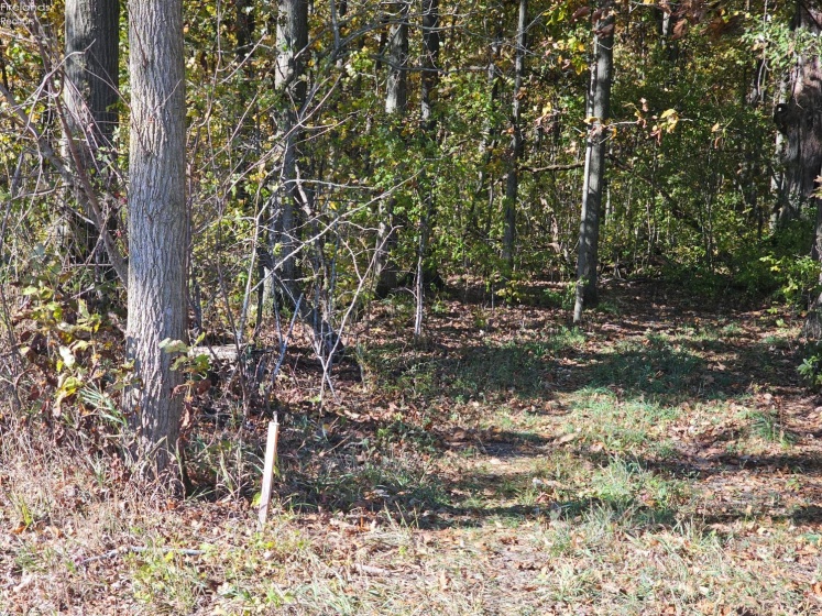 0 Mud Creek Road, Oak Harbor, 43449, ,Land,For Sale,Mud Creek,20260021