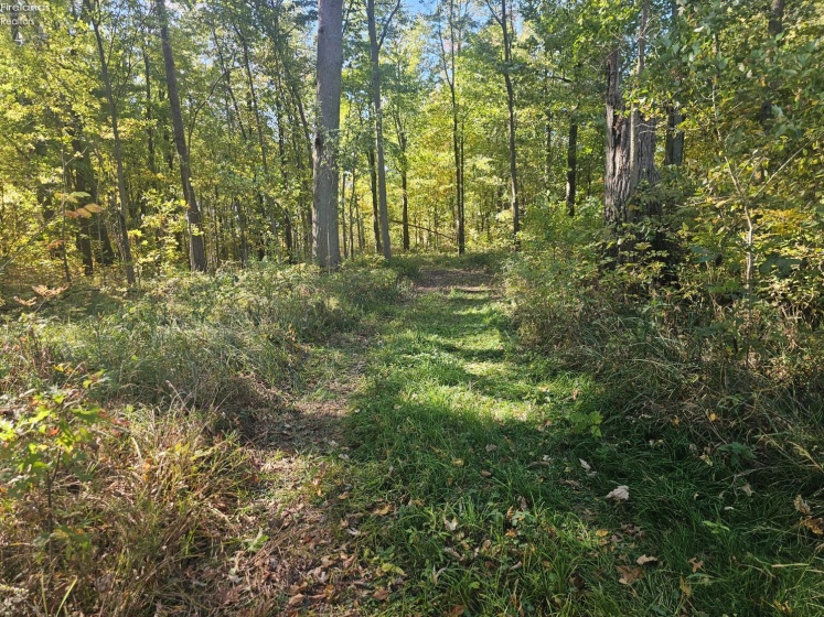 0 Mud Creek Road, Oak Harbor, 43449, ,Land,For Sale,Mud Creek,20260021