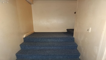 311 Sandusky Street, Bellevue, 44811, 3 Bedrooms Bedrooms, ,2 BathroomsBathrooms,Residential,For Sale,Sandusky,20254784