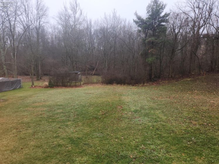 4005 Egypt Road, Willard, 44890, 3 Bedrooms Bedrooms, ,1 BathroomBathrooms,Residential,For Sale,Egypt,20260097