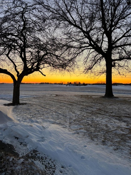 5170 Champion Road, Shelby, 44875, 3 Bedrooms Bedrooms, ,3 BathroomsBathrooms,Residential,For Sale,Champion,20260235