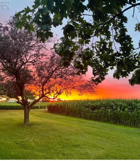 5170 Champion Road, Shelby, 44875, 3 Bedrooms Bedrooms, ,3 BathroomsBathrooms,Residential,For Sale,Champion,20260235