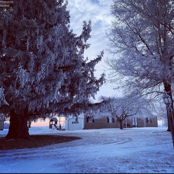 5170 Champion Road, Shelby, 44875, 3 Bedrooms Bedrooms, ,3 BathroomsBathrooms,Residential,For Sale,Champion,20260235