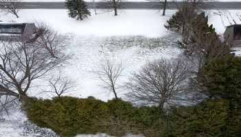 0 Bogart, Huron, 44839, ,Land,For Sale,Bogart,20260228