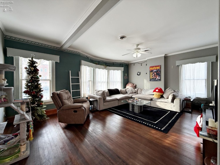 117 Perry Street, Tiffin, 44883, ,Multiple Units,For Sale,Perry,20260130