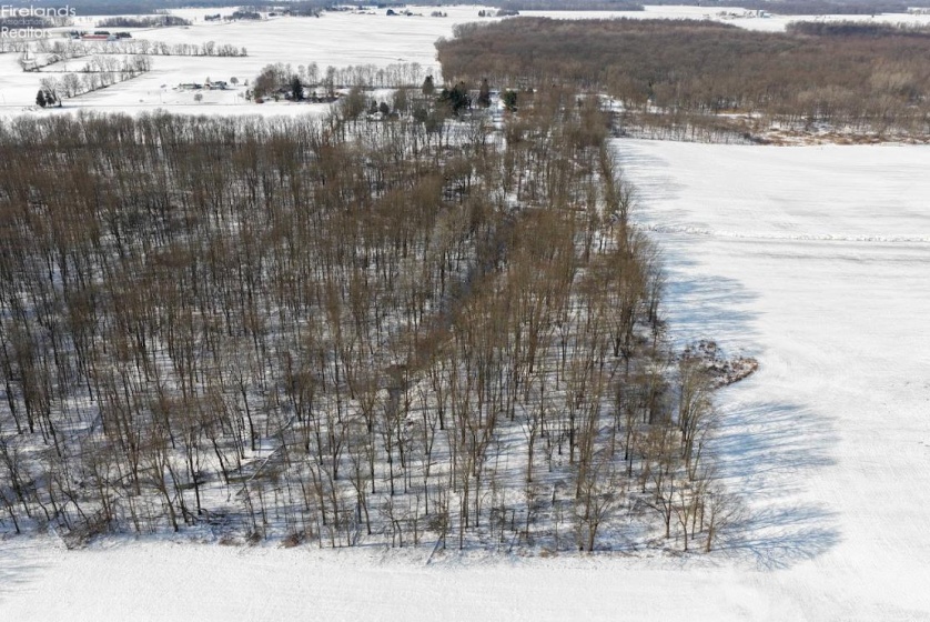 1520 Greenwich E Town Line Road, New London, 44851, ,Land,For Sale,Greenwich E Town Line,20260259