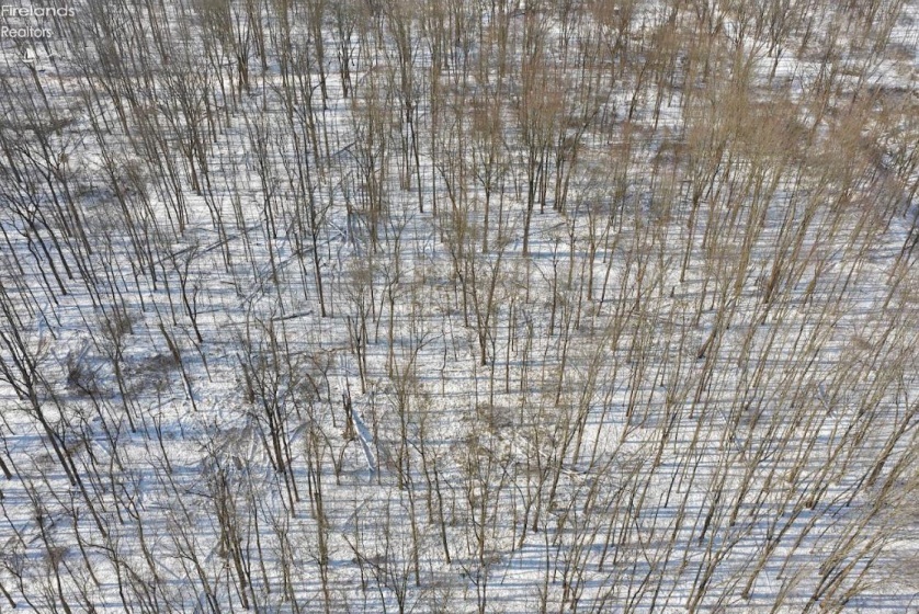 1520 Greenwich E Town Line Road, New London, 44851, ,Land,For Sale,Greenwich E Town Line,20260259