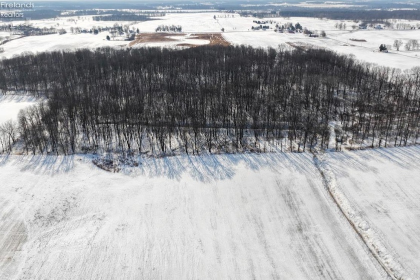 1520 Greenwich E Town Line Road, New London, 44851, ,Land,For Sale,Greenwich E Town Line,20260259