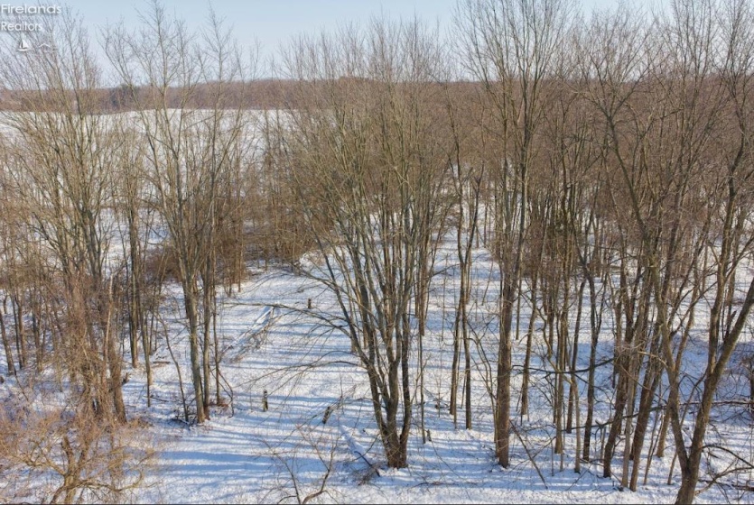 1520 Greenwich E Town Line Road, New London, 44851, ,Land,For Sale,Greenwich E Town Line,20260259