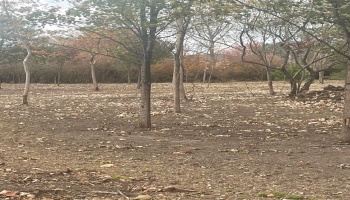 676 Salem Drive, Huron, 44839, ,Land,For Sale,Salem,20254423 676 Salem Drive, Huron, 44839, ,Land,For Sale,Salem,20254423