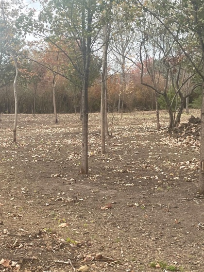 676 Salem Drive, Huron, 44839, ,Land,For Sale,Salem,20254423