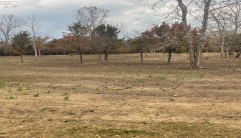 676 Salem Drive, Huron, 44839, ,Land,For Sale,Salem,20254423 676 Salem Drive, Huron, 44839, ,Land,For Sale,Salem,20254423