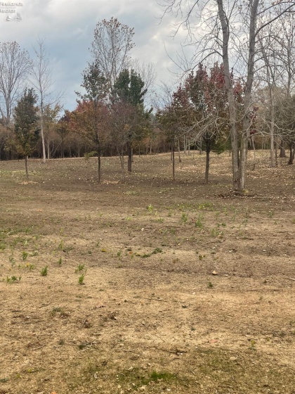 676 Salem Drive, Huron, 44839, ,Land,For Sale,Salem,20254423