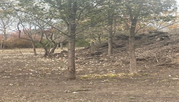 676 Salem Drive, Huron, 44839, ,Land,For Sale,Salem,20254423 676 Salem Drive, Huron, 44839, ,Land,For Sale,Salem,20254423