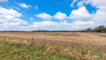 0 Bursley Road, Wellington, 44090, ,Land,For Sale,Bursley,20254586