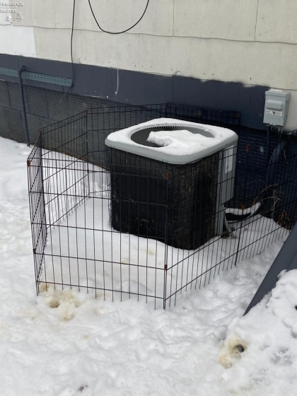 42 Townsend Avenue, Norwalk, 44857, 3 Bedrooms Bedrooms, ,1 BathroomBathrooms,Residential,For Sale,Townsend,20260359