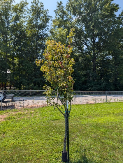 3257 Hartland Center Road, Collins, 44826, 3 Bedrooms Bedrooms, ,2 BathroomsBathrooms,Residential,For Sale,Hartland Center,20260381