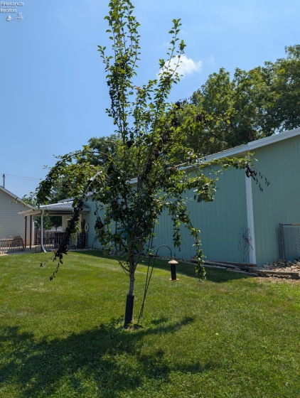 3257 Hartland Center Road, Collins, 44826, 3 Bedrooms Bedrooms, ,2 BathroomsBathrooms,Residential,For Sale,Hartland Center,20260381