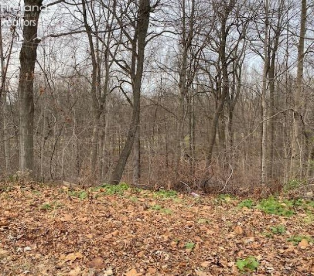 202 Old State Road, Norwalk, 44857, 3 Bedrooms Bedrooms, ,3 BathroomsBathrooms,Residential,For Sale,Old State,20260425