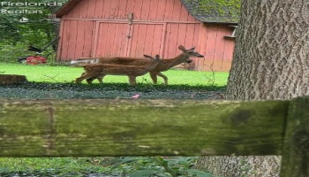 202 Old State Road, Norwalk, 44857, 3 Bedrooms Bedrooms, ,3 BathroomsBathrooms,Residential,For Sale,Old State,20260425 202 Old State Road, Norwalk, 44857, 3 Bedrooms Bedrooms, ,3 BathroomsBathrooms,Residential,For Sale,Old State,20260425