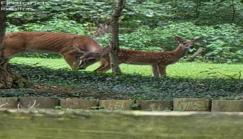 202 Old State Road, Norwalk, 44857, 3 Bedrooms Bedrooms, ,3 BathroomsBathrooms,Residential,For Sale,Old State,20260425 202 Old State Road, Norwalk, 44857, 3 Bedrooms Bedrooms, ,3 BathroomsBathrooms,Residential,For Sale,Old State,20260425