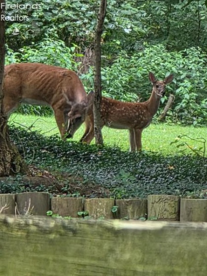 202 Old State Road, Norwalk, 44857, 3 Bedrooms Bedrooms, ,3 BathroomsBathrooms,Residential,For Sale,Old State,20260425