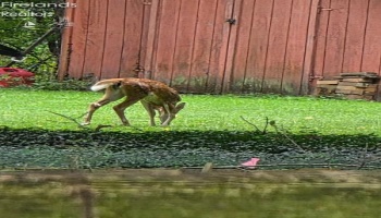 202 Old State Road, Norwalk, 44857, 3 Bedrooms Bedrooms, ,3 BathroomsBathrooms,Residential,For Sale,Old State,20260425 202 Old State Road, Norwalk, 44857, 3 Bedrooms Bedrooms, ,3 BathroomsBathrooms,Residential,For Sale,Old State,20260425