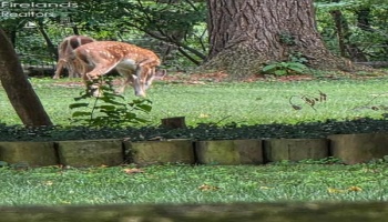 202 Old State Road, Norwalk, 44857, 3 Bedrooms Bedrooms, ,3 BathroomsBathrooms,Residential,For Sale,Old State,20260425 202 Old State Road, Norwalk, 44857, 3 Bedrooms Bedrooms, ,3 BathroomsBathrooms,Residential,For Sale,Old State,20260425