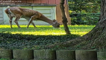 202 Old State Road, Norwalk, 44857, 3 Bedrooms Bedrooms, ,3 BathroomsBathrooms,Residential,For Sale,Old State,20260425 202 Old State Road, Norwalk, 44857, 3 Bedrooms Bedrooms, ,3 BathroomsBathrooms,Residential,For Sale,Old State,20260425