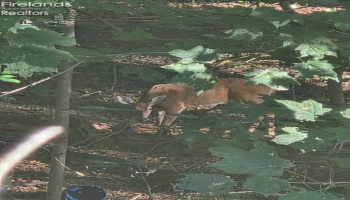 202 Old State Road, Norwalk, 44857, 3 Bedrooms Bedrooms, ,3 BathroomsBathrooms,Residential,For Sale,Old State,20260425