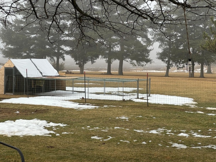 2776 TR 1124, Attica, 44807, 3 Bedrooms Bedrooms, ,2 BathroomsBathrooms,Residential,For Sale,TR 1124,20260438