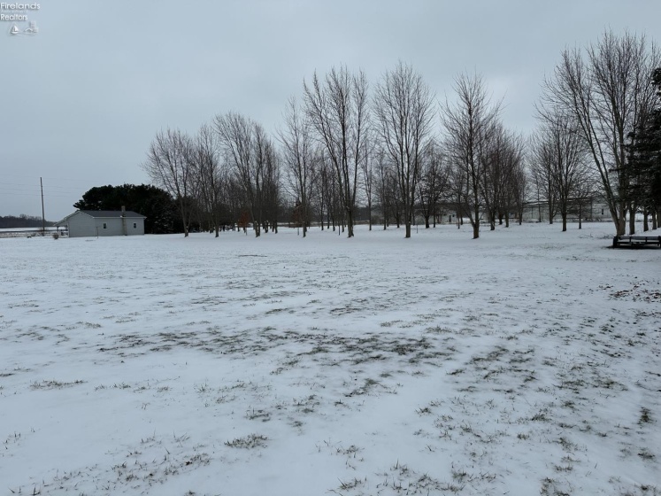 14428 TR 88, Attica, 44807, 5 Bedrooms Bedrooms, ,1 BathroomBathrooms,Residential,For Sale,TR 88,20260547