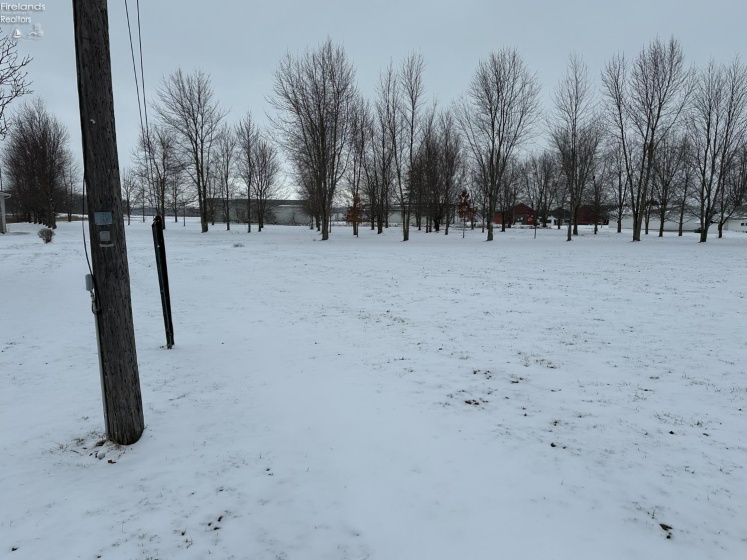 14428 TR 88, Attica, 44807, 5 Bedrooms Bedrooms, ,1 BathroomBathrooms,Residential,For Sale,TR 88,20260547