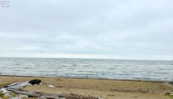 183 Driftwood, Port Clinton, 43452, 2 Bedrooms Bedrooms, ,1 BathroomBathrooms,Residential,For Sale,Driftwood,20260461