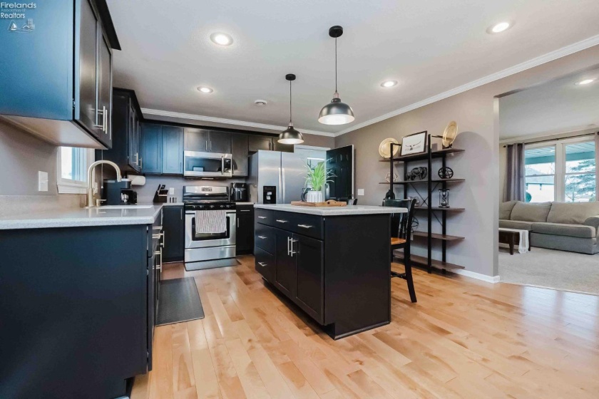 119 Warnecke Drive, Clyde, 43410, 4 Bedrooms Bedrooms, ,2 BathroomsBathrooms,Residential,For Sale,Warnecke,20260587