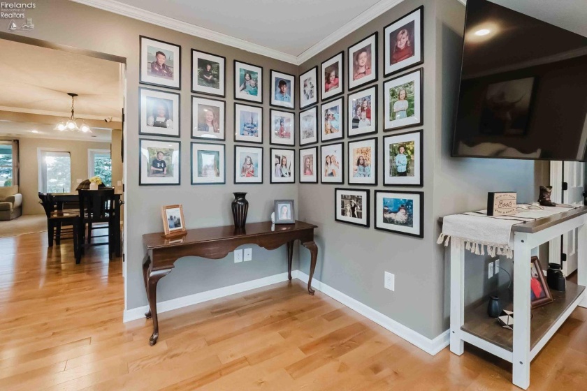 119 Warnecke Drive, Clyde, 43410, 4 Bedrooms Bedrooms, ,2 BathroomsBathrooms,Residential,For Sale,Warnecke,20260587