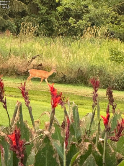 209 Main Street, North Fairfield, 44855, 5 Bedrooms Bedrooms, ,2 BathroomsBathrooms,Residential,For Sale,Main Street,20260569