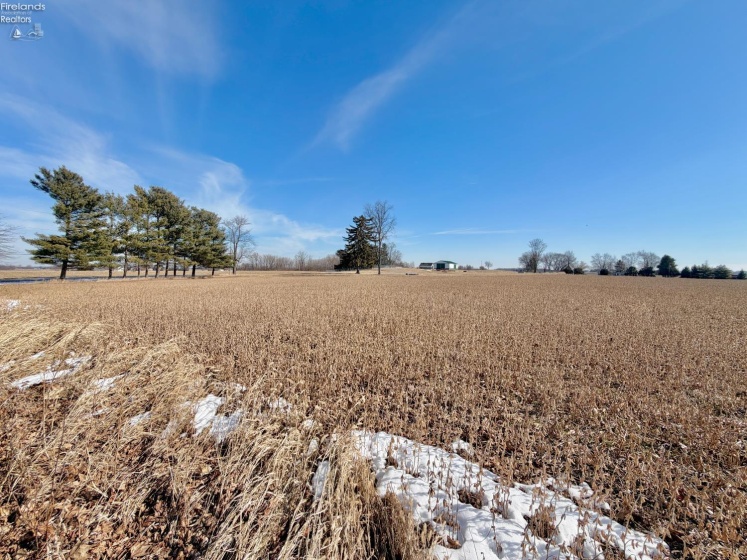 5255 County Road 177, Clyde, 43410, ,Land,For Sale,County Road 177,20260570