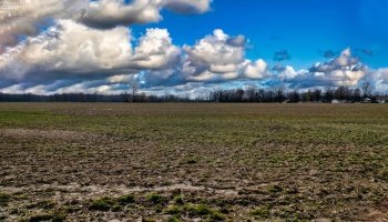 12380 Oberlin Road, Oberlin, 44074, 4 Bedrooms Bedrooms, ,1 BathroomBathrooms,Residential,For Sale,Oberlin,20251382