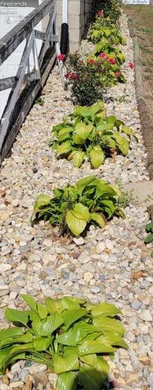 1727 McPherson Highway, Clyde, 43410, 3 Bedrooms Bedrooms, ,2 BathroomsBathrooms,Residential,For Sale,McPherson,20260798