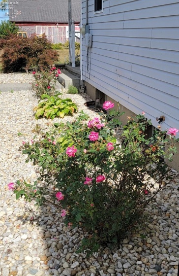 1727 McPherson Highway, Clyde, 43410, 3 Bedrooms Bedrooms, ,2 BathroomsBathrooms,Residential,For Sale,McPherson,20260798