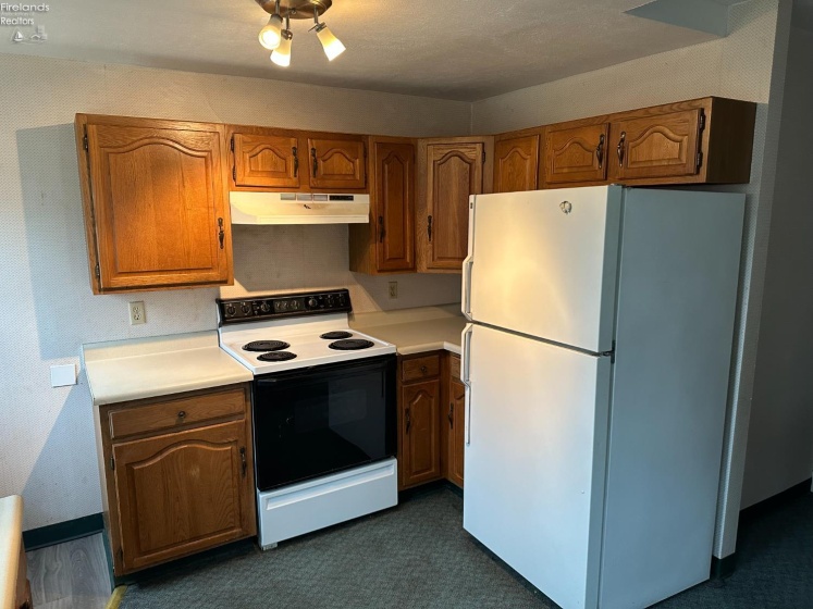 403 Park Street, Willard, 44890, 3 Bedrooms Bedrooms, ,2 BathroomsBathrooms,Residential,For Sale,Park,20260826