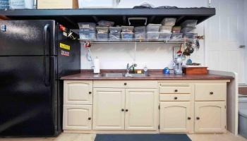 3345 Memorial Shoreway Drive, Marblehead, 43440, 3 Bedrooms Bedrooms, ,2 BathroomsBathrooms,Residential,For Sale,Memorial Shoreway,20260049 3345 Memorial Shoreway Drive, Marblehead, 43440, 3 Bedrooms Bedrooms, ,2 BathroomsBathrooms,Residential,For Sale,Memorial Shoreway,20260049