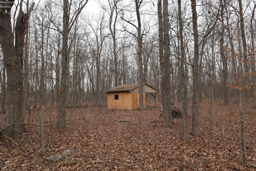 12310 Patton Tract Road, Monroeville, 44847, ,Land,For Sale,Patton Tract,20260864