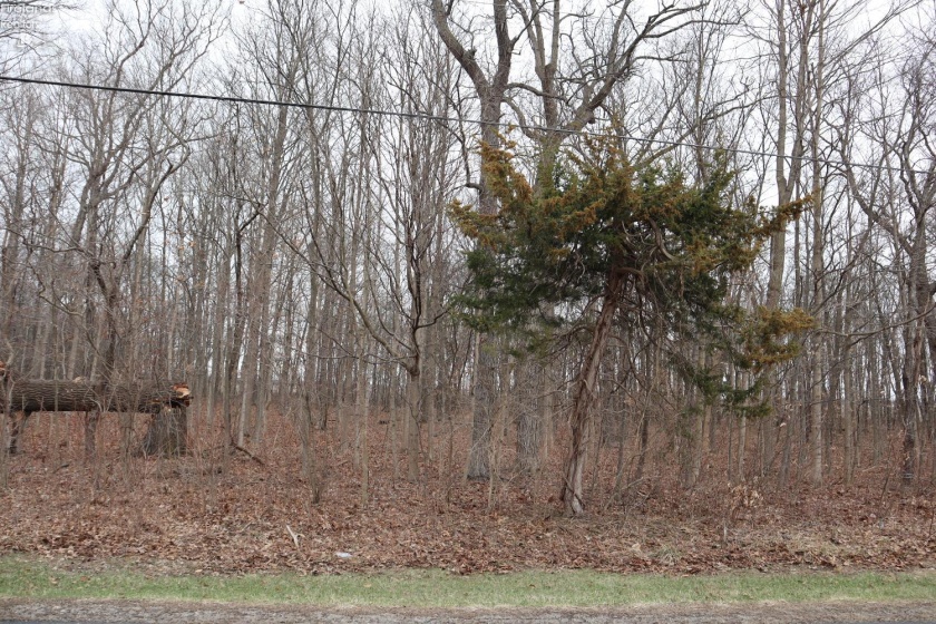 12310 Patton Tract Road, Monroeville, 44847, ,Land,For Sale,Patton Tract,20260864