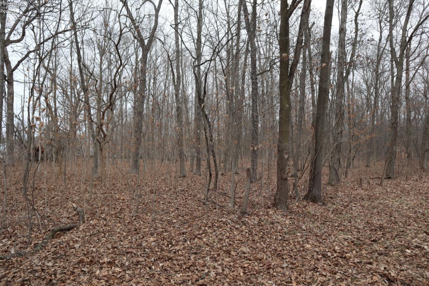 12310 Patton Tract Road, Monroeville, 44847, ,Land,For Sale,Patton Tract,20260864