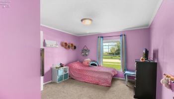 101 Nathan Drive, Clyde, 43410, 3 Bedrooms Bedrooms, ,2 BathroomsBathrooms,Residential,For Sale,Nathan,20260615