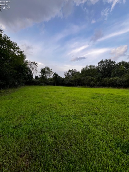 161 Twin Bay Trail, Willard, 44890, ,Land,For Sale,Twin Bay,20261044