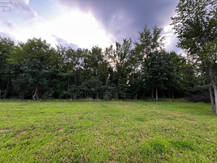 161 Twin Bay Trail, Willard, 44890, ,Land,For Sale,Twin Bay,20261044